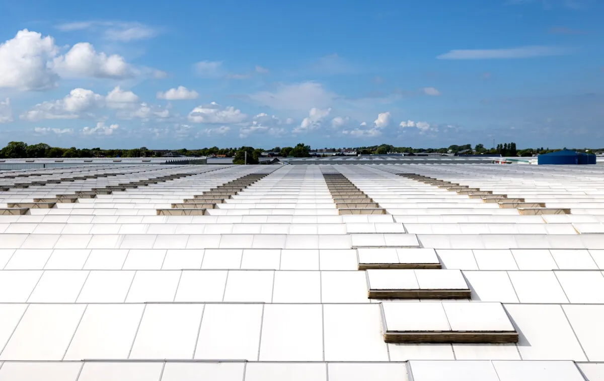 Se libérer complètement du gaz dans les serres — une nécessité pour notre sécurité énergétique